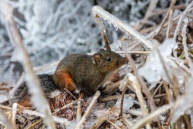 Epic喜加一：《亡灵诡计》免费、下周送《木卫四协议》